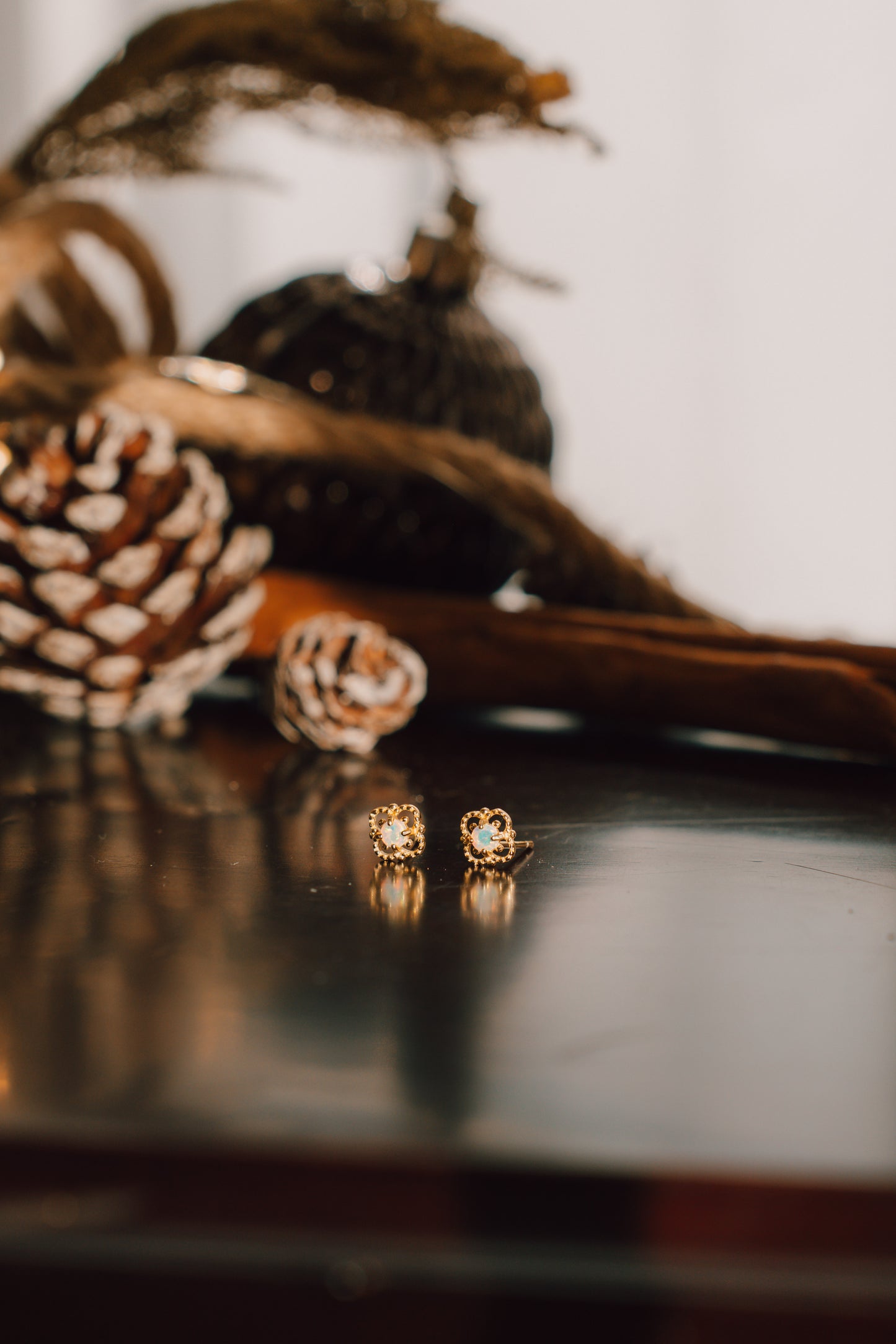 18k Gold Sydney Moonstone Studs