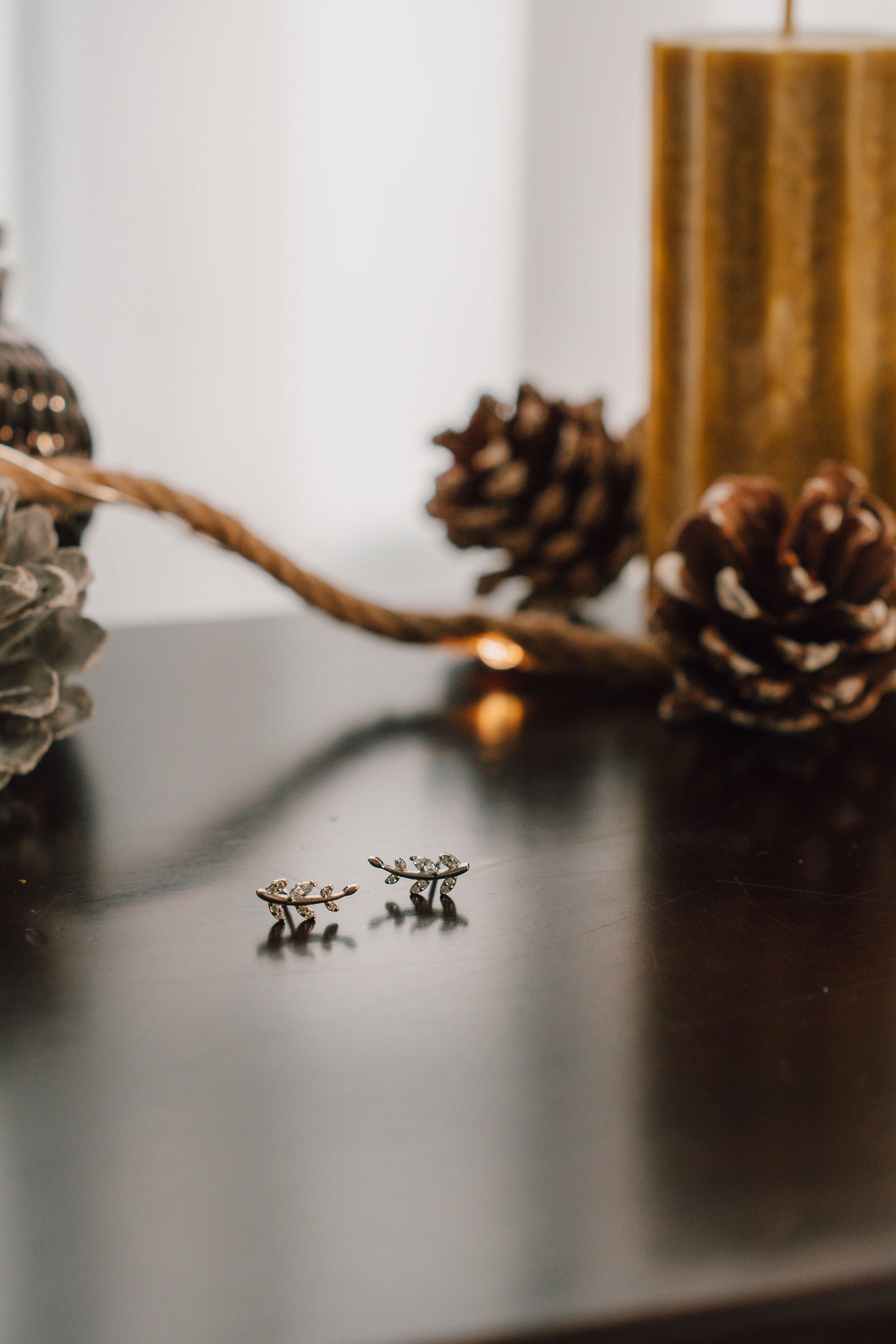 18k Gold Antara Vines Studs (Silver)